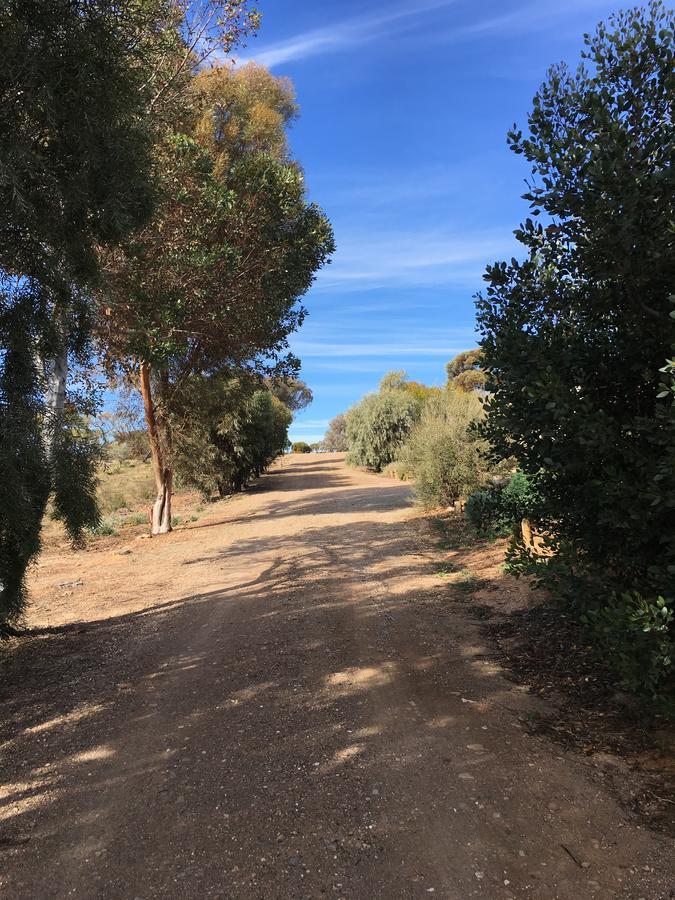 Black Jack Get-A-Way "Magpies Nest" Villa Orroroo Exterior photo