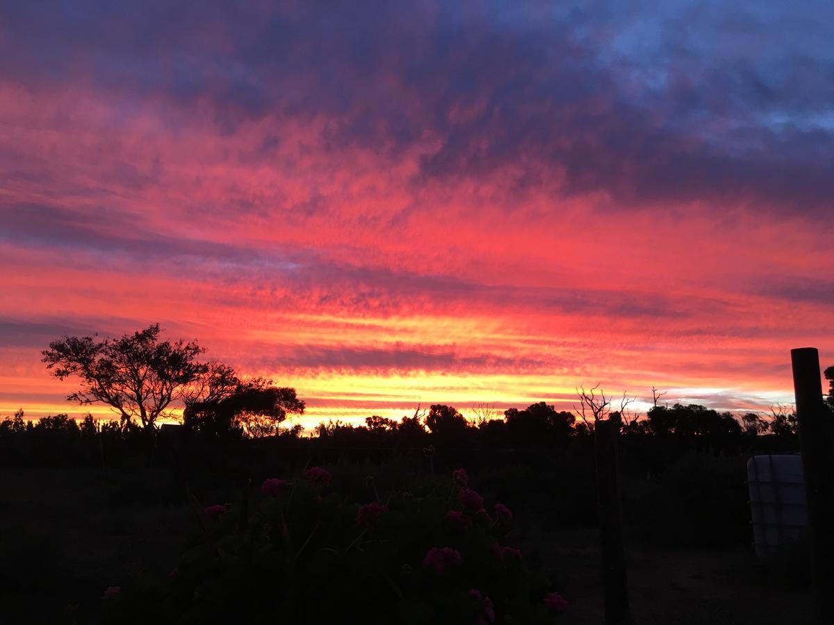 Black Jack Get-A-Way "Magpies Nest" Villa Orroroo Exterior photo